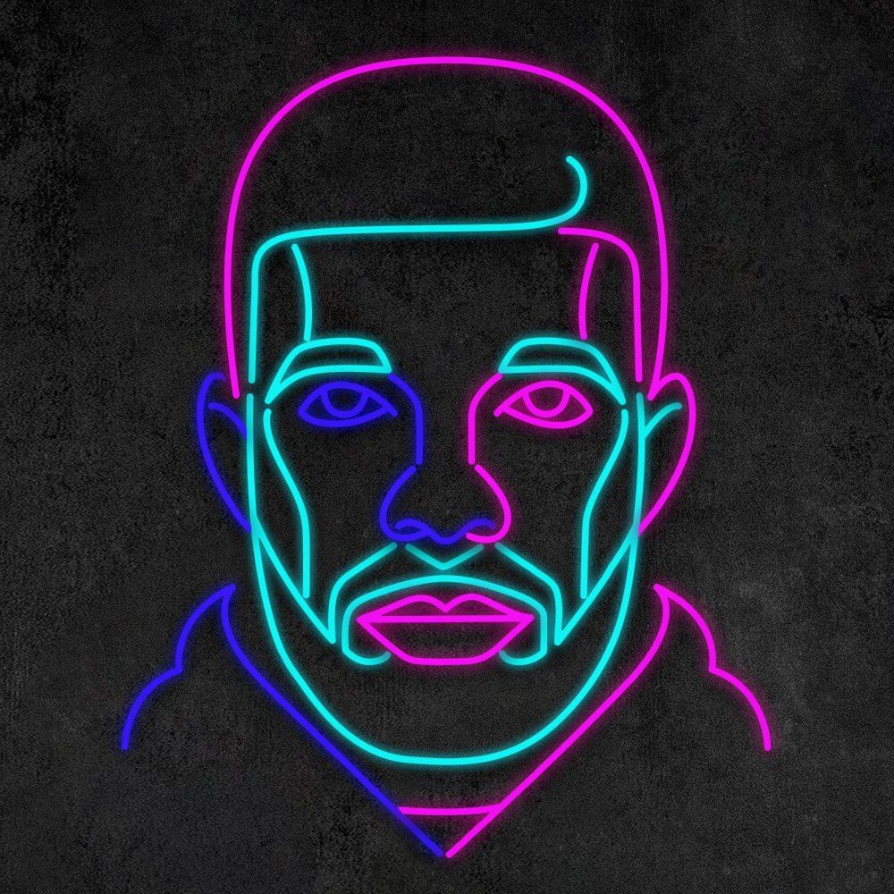 multicoloured drake neon sign